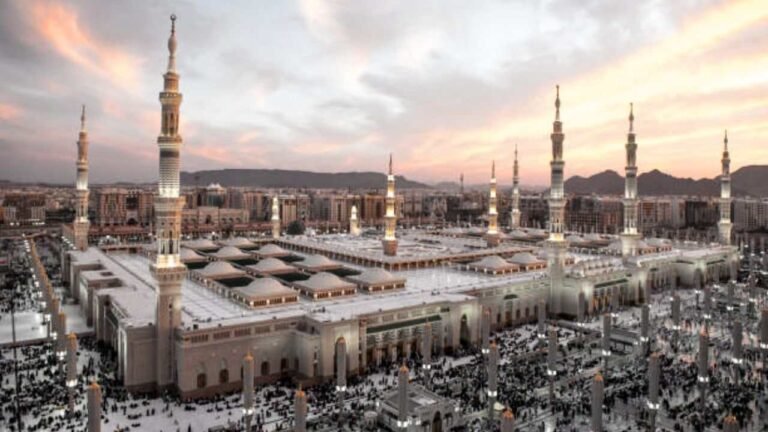 Flynas Madinah Office in Saudi Arabia