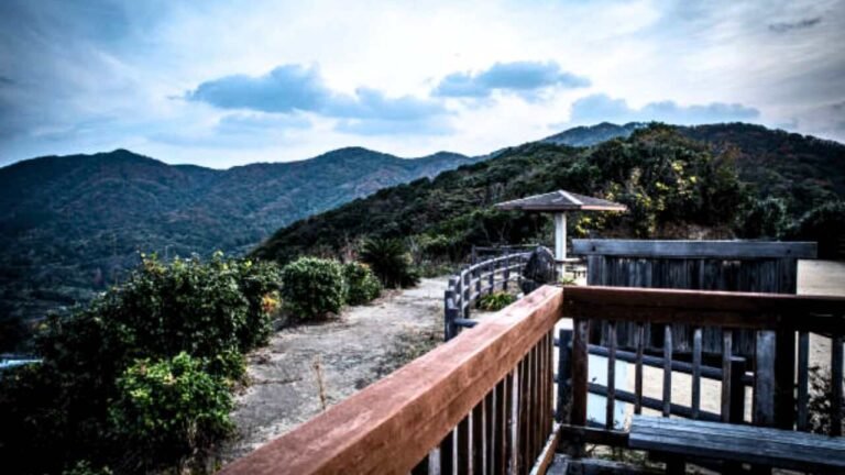 Flynas Bisha Office in Saudi Arabia