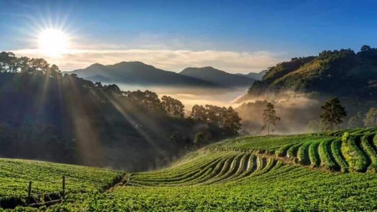 Cebu Pacific Cotabato Office in Philippines