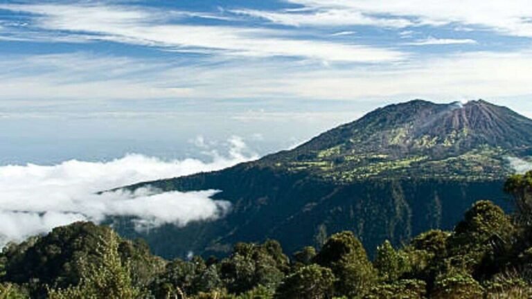 Aeromexico Poza Rica Office in Mexico