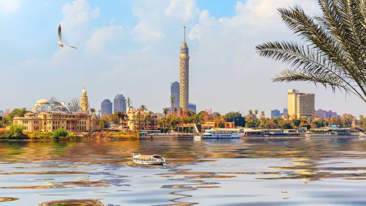 Flynas Luxor Office in Egypt