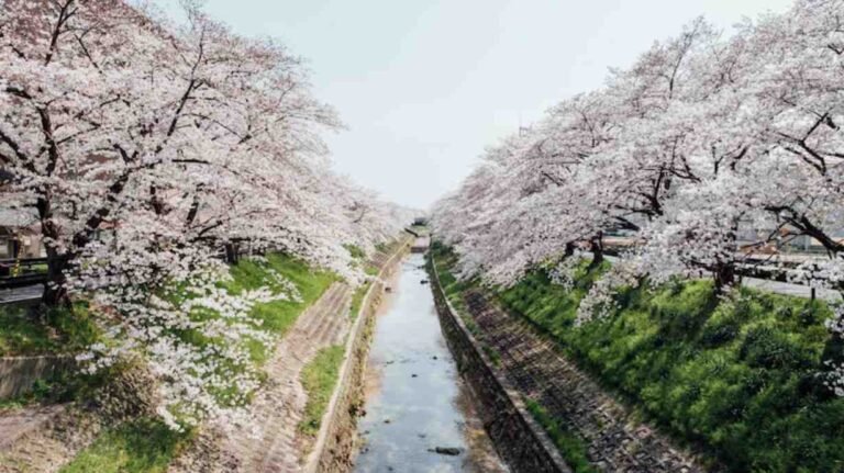 Envoy Air Springfield Office in United States